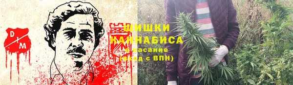 ПСИЛОЦИБИНОВЫЕ ГРИБЫ Абаза