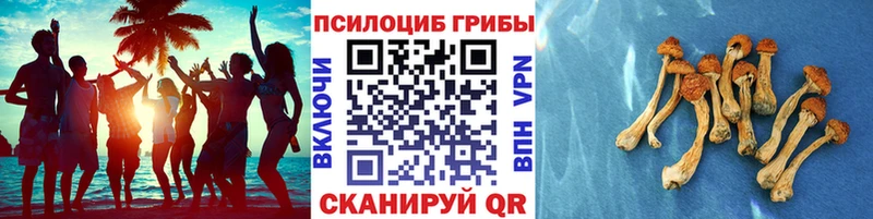 купить наркоту  Тольятти  Галлюциногенные грибы MAGIC MUSHROOMS 